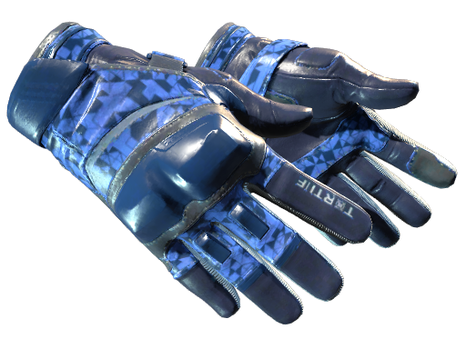 ★ Moto Gloves | Polygon